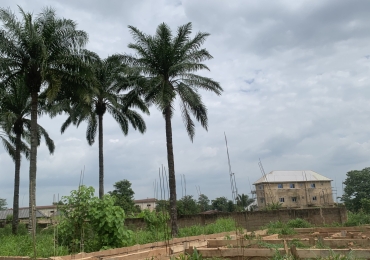 Hot sale !!!!  3Plots of Estate Land for buy and build in Orji River For sale